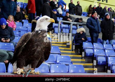 London, Großbritannien. Januar 2020. Das Maskottchen von Crystal Palace, Kayla, der Adler, thront während des Premier-League-Spiels zwischen Crystal Palace und Southampton im Selhurst Park, London, England am 21. Januar 2020. Foto von Carlton Myrie. Nur redaktionelle Nutzung, Lizenz für kommerzielle Nutzung erforderlich. Keine Verwendung bei Wetten, Spielen oder einer einzelnen Club-/Liga-/Spielerpublikationen. Kredit: UK Sports Pics Ltd/Alamy Live News Stockfoto