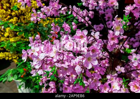 Auf einem Gehweg vor einem Laden vor dem chinesischen Neujahr werden auf einer Stadtstraße in Phnom Penh, Kambodscha, gefälschte lila chinesische Blumen ausgestellt. Stockfoto