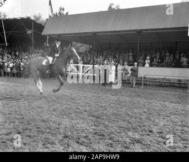 Concours Hippique te Rotterdam Datum: 2. September 1961 Ort: Rotterdam, Zuid-Holland Schlüsselwörter: Concours Stockfoto