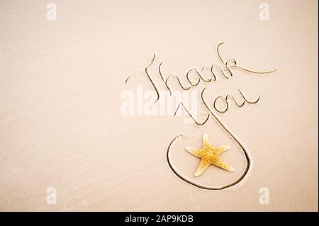 Dankesschreiben handschriftlich in Kalligraphie mit einem Seestern auf einem glatten Strandabschnitt mit Sandkopierplatz Stockfoto
