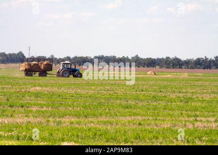 Einen landwirtschaftlichen Traktor Lader lasten Heuballen in einen Traktor Anhänger auf dem Feld Stockfoto