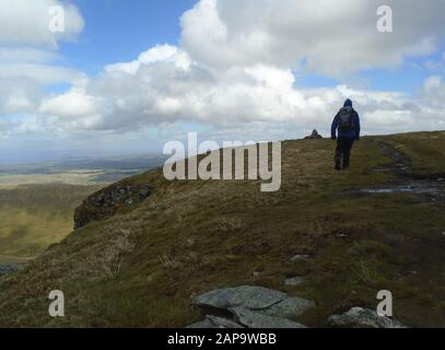 Einsamer Mann, Der Auf dem Gipfel des Wainwright 'Bannerdale Crags' in Mosedale, Lake District National Park, Cumbria zum Cairn Pile of Stones läuft. Stockfoto