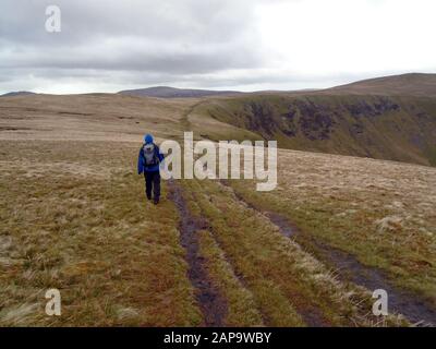 Einsamer Mann, Der Auf der Strecke zum Wainwright 'Bowscale Fell' von 'Bannerdale Crags' in Mosedale, Lake District National Park, Cumbria, Spaziert. Stockfoto