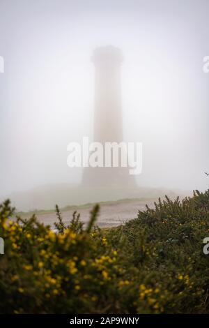 Hardys Monument, Dorset, Großbritannien. Januar 2020. Wetter in Großbritannien. Kalt nebelig trübe Start in den Tag in West Dorset. Kredit: DTNews/Alamy Live News Stockfoto