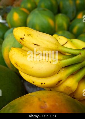 Nahaufnahme der reifen Bananen unter den Papayas auf einem lokalen Markt, selektiver Fokus. Stockfoto