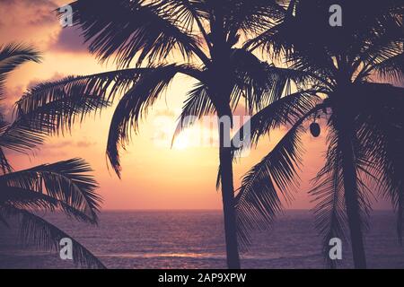 Kokospalmen Silhouetten bei Sonnenuntergang, Farbtonierung angewendet, tropisches Urlaubskonzept. Stockfoto