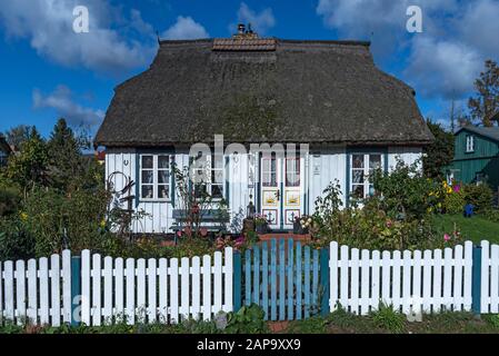 Denkmalgeschütztes, reetgedecktes Haus an der Darss, Mecklenburg-Vorpommern, Deutschland Stockfoto