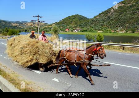 Pferd und Wagen beladen mit Heu, Banat, Rumänien Stockfoto