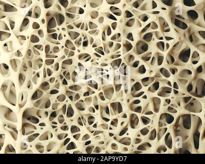 Realistische Knochenstrukturen in Nahaufnahme, gesunde Knochenstruktur, 3D-Abbildung Stockfoto