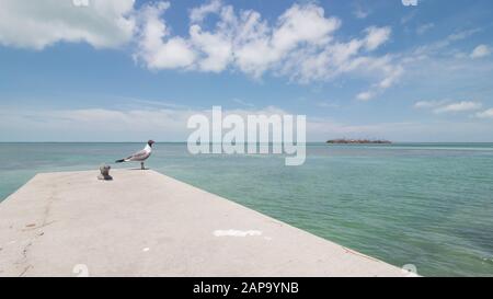 Keys Island florida, 11 km Brücke Stockfoto
