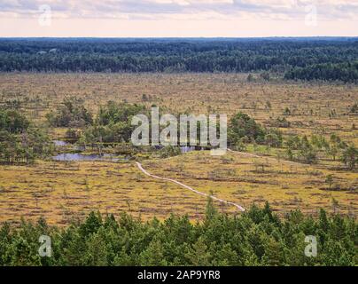 Rannametsa Tolkuse natur Studie Trail. Antenne Sommer Blick über das Sumpfgebiet vom Aussichtsturm. Estland. Stockfoto