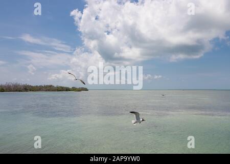Keys Island florida, 11 km Brücke Stockfoto