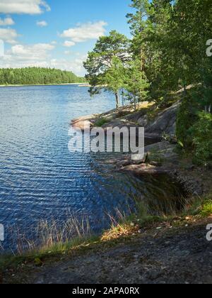 Idyllische finnische Sommer See Szene an Teijo Wanderweg in Salo, Finnland. Big Tree und der Matildajarvi See im Hintergrund. Stockfoto