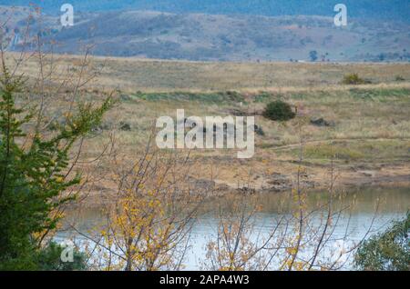 Herbstlaub an einem See in den australischen Schneebergen Stockfoto