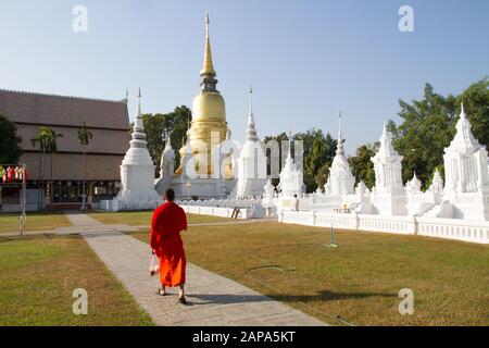 Thailand buddhistischer Mönch in orangefarbenem Kleid, der im Tempel spazieren geht, Wat Suandok chiang Mai Thailand Thai asian Stockfoto