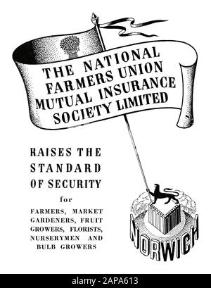 Eine Werbung für die National Farmers Union Mutual Insurance Society Limited für Norwich, Norfolk, England, Großbritannien aus dem Jahr 1951. Dies erschien in einer Zeitschrift, die das Festival of Britain Celebrations in Norwich in jenem Jahr kennzeichnete. Die Abbildung zeigt Norwich Castle und einen standardmäßigen Löwen. Das Banner hat auch das Symbol für eine Garbe mit dem Wort "Einheit". Das Exemplar betont, dass es Marktgärtner, Obst- und Blumenzüchter, Floristen und Baumschulen sowie Landwirte versichert. Stockfoto