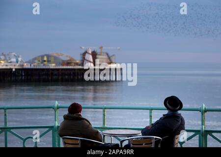 Schwärme von Starlingen in der Dämmerung in Brighton Stockfoto