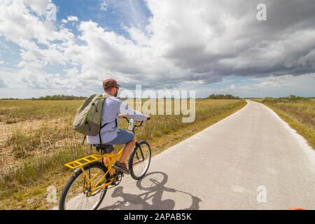 Everglades Nationalpark Stockfoto