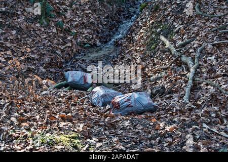 Müllsäcke illegal im Wald entsorgt, hässliche Verwetterung in der schweiz Stockfoto