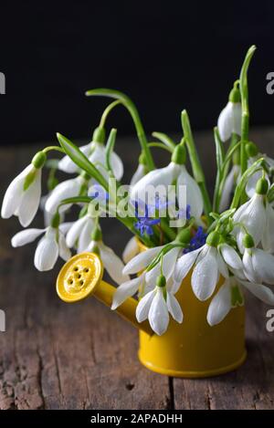 Wunderschöner Blumenstrauß mit Schneefällen im kleinen Eimer auf Holztisch Stockfoto