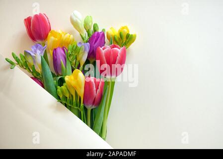 Blumensträuße von Tulpen und Freesie Blumen auf weißem Papier Stockfoto