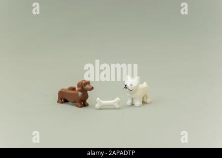 Florianopolis - Brasilien, 5. Mai 2019: Minigures Lego von zwei Hunden (Pug und Dachshund) auf der Suche nach einem kleinen Knochen. Studio Shot - selektiver Fokus. Stockfoto