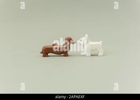 Florianopolis - Brasilien, 5. Mai 2019: Seitenansicht der Lego-Minifiguren zweier Hunde von Angesicht zu Angesicht. Ein Pug und ein Dachshund. Hergestellt werden LEGO-Miniaturen Stockfoto