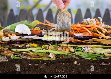 Männliche hand Hinzufügen eines biologisch abbaubaren Teebeutel zu einem bunten Komposthaufen bestehend aus verrottenden Küche Reste Stockfoto