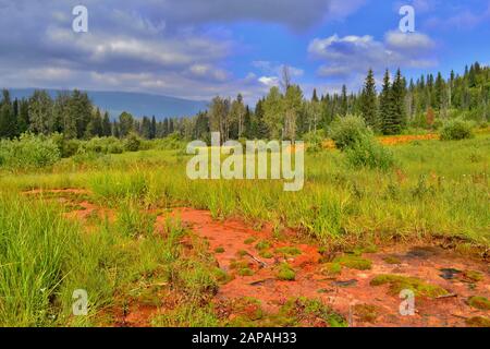 Mineralquellen im Kootenay National Park, Kanada. Schöner bunter grüner und oranger Boden, blauer Himmel mit weißen Wolken. Stockfoto