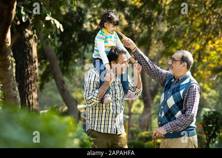 Glückliche, mehrköpfige indische Familie im Park im Freien Stockfoto