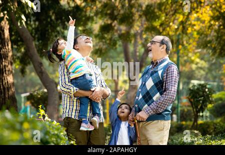 Glückliche, mehrköpfige indische Familie im Park im Freien Stockfoto