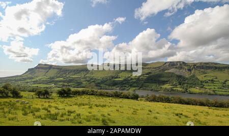 Schafe, die neben dem See in Irland weiden, Glencar Lake in Counties Sligo und Leitrim mit weißen, pfiffigen Wolken und blauem Himmel über der Dartry Mountain Range. Stockfoto