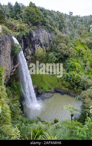 Bridal Veil Falls Wasserfall in Waikato, Neuseeland Stockfoto