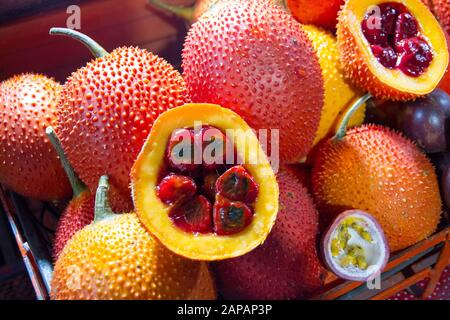 GAC-Frucht chiang Mai Thailand Früchte Momordica cochinchinensis Stockfoto