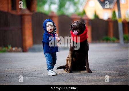 Ein brauner Labrador in einem roten Schal sitzt auf dem Straßenbelag, daneben ein kleines Mädchen in einer blauen Jacke Stockfoto