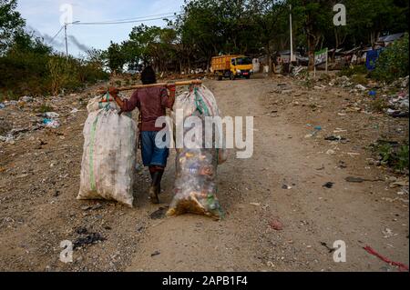 Ein Schnitzelhäher trägt Plastikmüll, der am 22. Januar 202 auf der Deponie Kawatuna, Palu, Central Sulawesi, Indonesien, gesammelt wurde Stockfoto