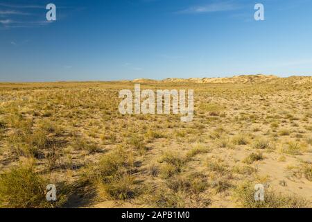 Wüstenlandschaft, Steppe in Kasachstan, Trockenrasen und Sanddünen Stockfoto