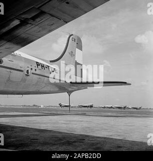 Unternehmensstil und Embleme KLM Beschreibung: Die Douglas DC-4 Edamer mit der Corporate Identity der KLM und dem Flying Dutchman Logo in der Mitte des Rückens des Rumpfes und des Hecks in der niederländischen Trikolore am Flughafen Schiphol Datum: August 1951 Standort: Noord-Holland, Schiphol Schlüsselwörter: Embleme, Logos, Flugzeuge Stockfoto