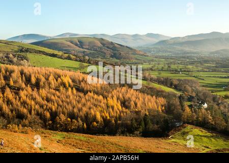 Latrigg und Die Dodds aus Skiddaw, Lake District Stockfoto