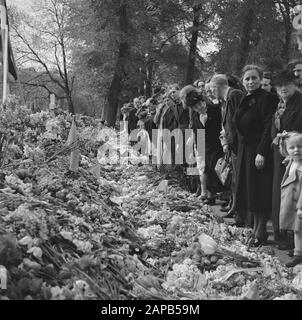 Befreiungsfeierlichkeiten: Amsterdam Beschreibung: Besucher der Gedenkfeier für erschossene Niederländer auf dem Weteringsplantsoen Walk an verlegten Blumen und Kränzen vorbei Datum: Mai 1945 Ort: Amsterdam, Noord-Holland Schlüsselwörter: Blumen, Hinrichtungen, Landschaftsgestaltung, Gedenkfeiern, Öffentlichkeit, Widerstandskämpfer Stockfoto