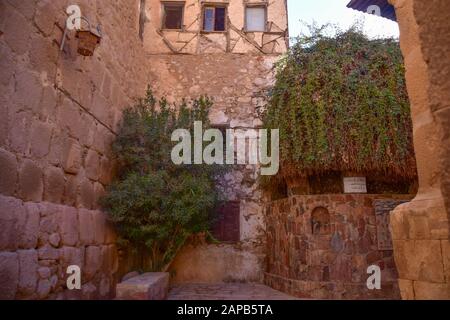 Die traditionelle Stätte von Burning Bush, wo Moses Gott begegnete, das Katharinenkloster am Fuße des Berges Sinai in Ägypten Stockfoto