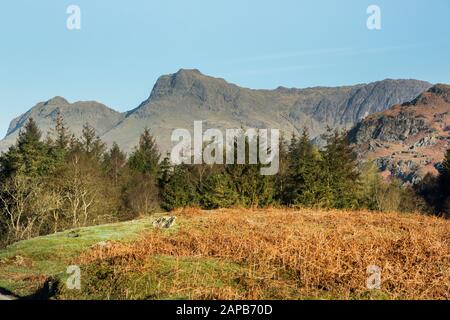 Die Langdale Pikes in der Nähe von Elterwater, Lake District Stockfoto