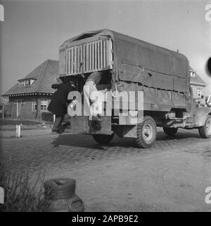 Generalprobe für Das Spiel der Befreiung, das am 4. Und 6. Mai 1946 im Olympiastadion ausgetragen wird Beschreibung: Der CCD [Central Control Service]. Alle vorbeifahrenden Autos unterliegen einer gründlichen Untersuchung Anmerkung: Der Central Control Service war eine Fortsetzung des Central Crisis Control Service, der hauptsächlich auf die Bekämpfung des Schwarzhandels abzielte. Das CCD wurde 1954 in den Generalinspektionsdienst des Landwirtschaftsministeriums umgewandelt Datum: 3. Mai 1946 Schlüsselwörter: Wirtschaft, Suchdienste Stockfoto