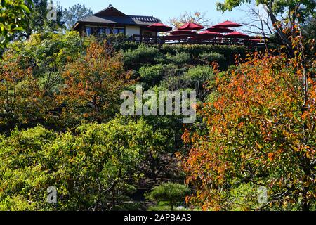 San DIEGO, CA -5 JAN 2020 - Blick auf den japanischen Freundschaftsgarten (San Kei En), einen traditionellen japanischen Garten im Balboa Park in San Diego, Califor Stockfoto