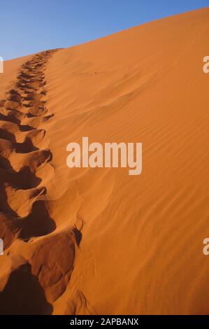 Ein Weg in die Dünen eines Desserts Stockfoto