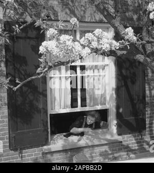 Blossom in de Betuwe mit Kindern Datum: 1. Mai 1951 Ort: Betuwe Stichwörter: BLOESEM, Kinder Stockfoto