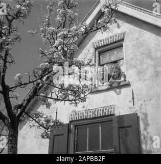 Blossom in de Betuwe mit Kindern Datum: 1. Mai 1951 Ort: Betuwe Stichwörter: BLOESEM, Kinder Stockfoto