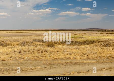 Wüstenlandschaft, Steppe in Kasachstan, Trockenrasen Stockfoto