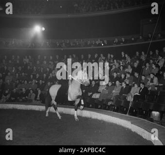 Circus Strassburger diverse Aufnahmen Datum: 22. Januar 1952 Schlagwörter: RECORDINGENTS-Institutionenname: Strassburger Circus Stockfoto