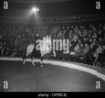 Circus Strassburger diverse Aufnahmen Datum: 22. Januar 1952 Schlagwörter: RECORDINGENTS-Institutionenname: Strassburger Circus Stockfoto